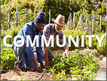 Community