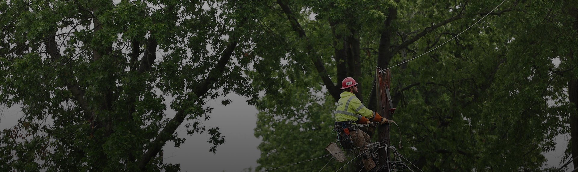 How BPU trims trees to protect public safety and prevent service interruptions.